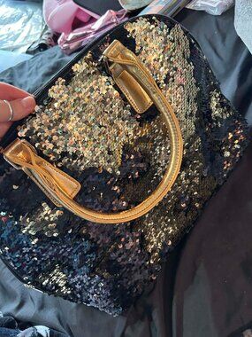 IceWare Lunch bag or wine bottle carrier.